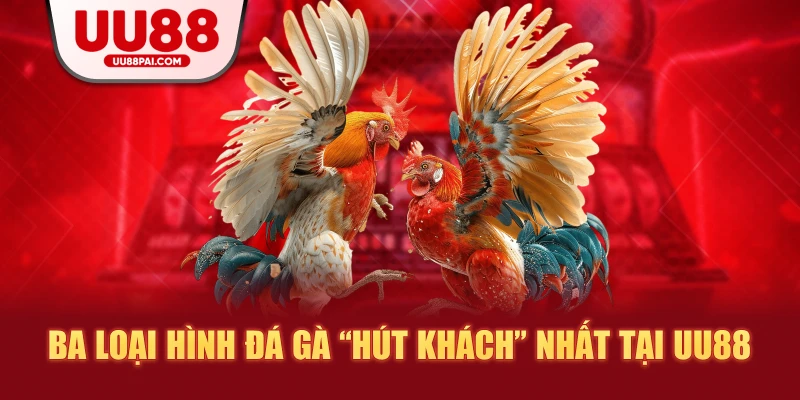 Ba loại hình đá gà hút khách nhất tại uu88