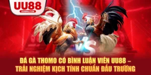 Đá gà thomo có bình luận viên uu88 trải nghiệm kịch tính