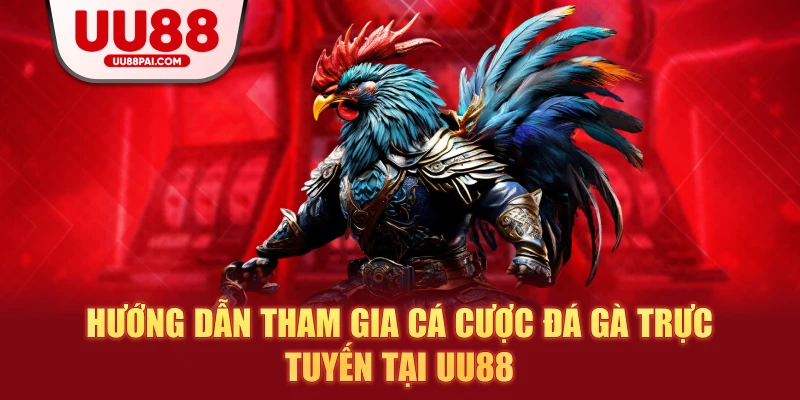 Hướng dẫn tham gia cá cược đá gà trực tuyến tại uu88
