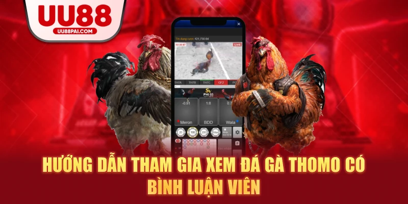 Hướng dẫn tham gia xem đá gà thomo có bình luận viên