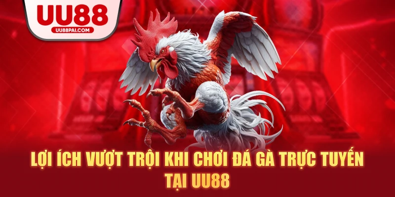 Lợi ích vượt trội khi chơi đá gà trực tuyến