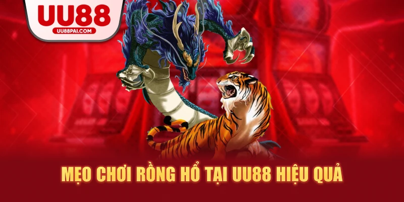 Mẹo chơi rồng hổ tại au88 hiệu quả